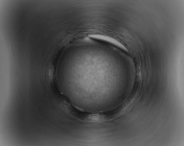 X0000093260231200710101505