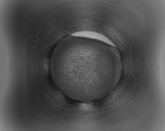 X0000093260232200710101505