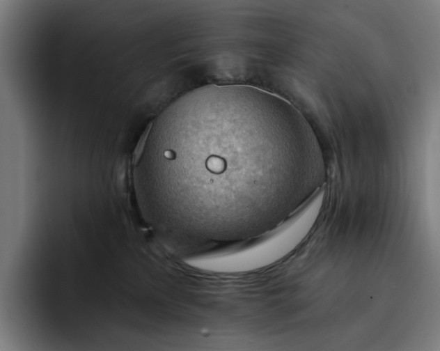 X0000093260233200710101505