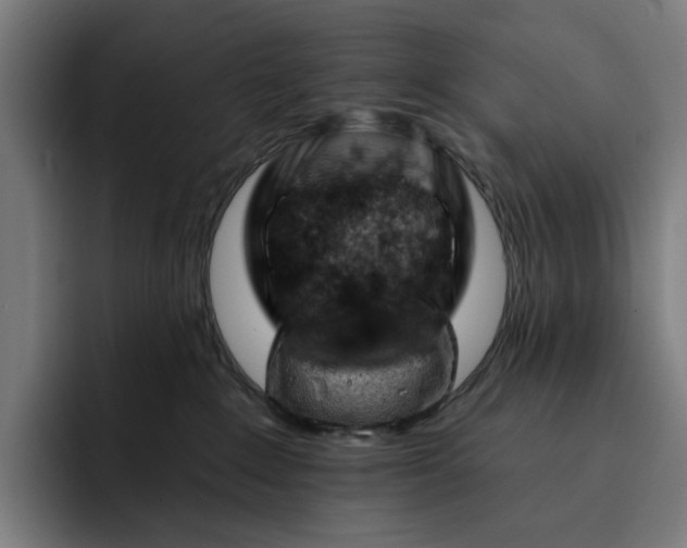 X0000093260235200710101505