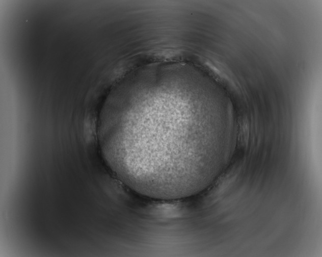 X0000093260236200710101505