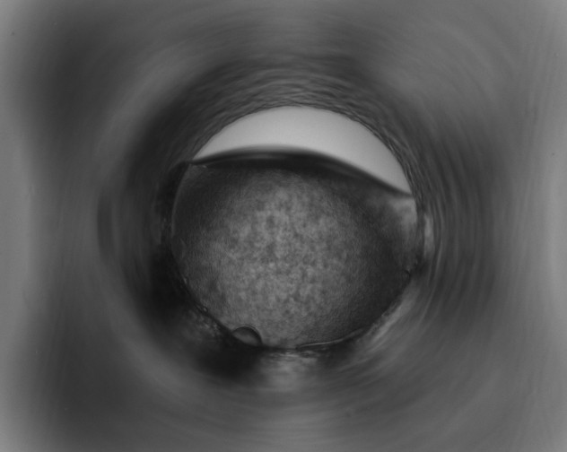 X0000093260239200710101504