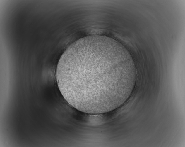 X0000093260240200710101504