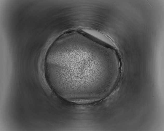 X0000093260241200710101504