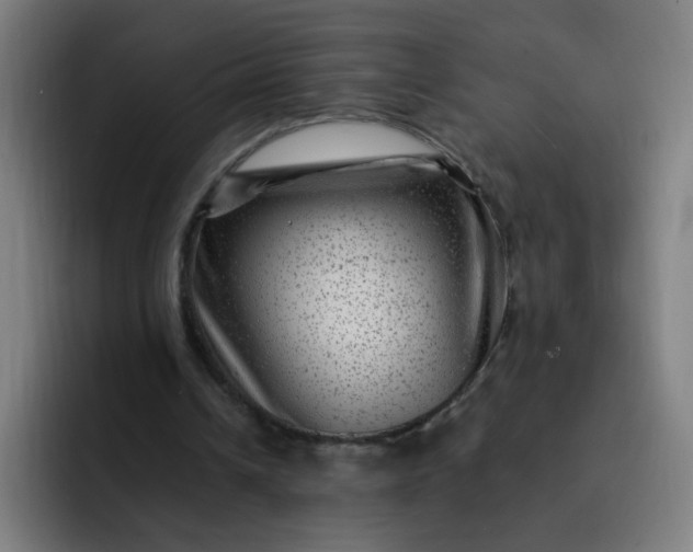 X0000093260242200710101504