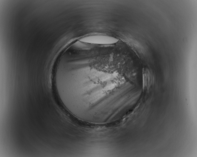 X0000093260243200710101504