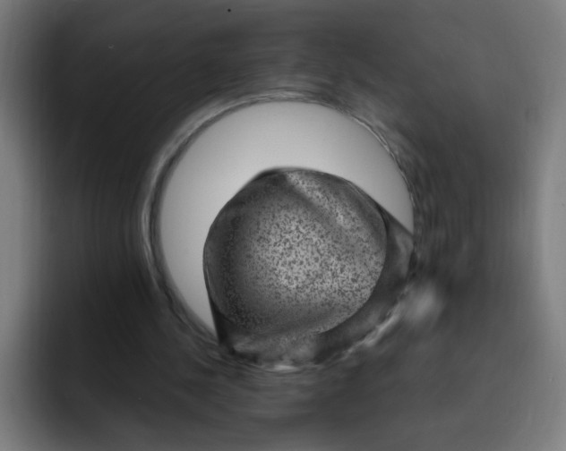 X0000093260244200710101504