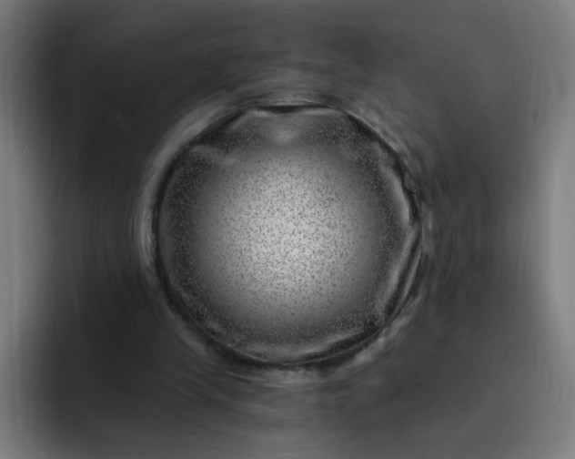 X0000093260245200710101504