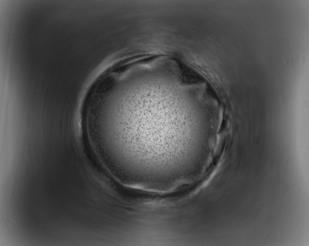 X0000093260246200710101504