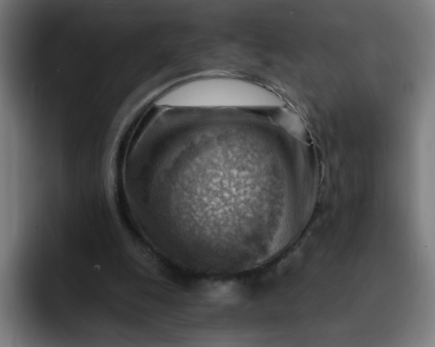 X0000093260247200710101504