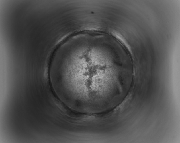 X0000093260249200710101504