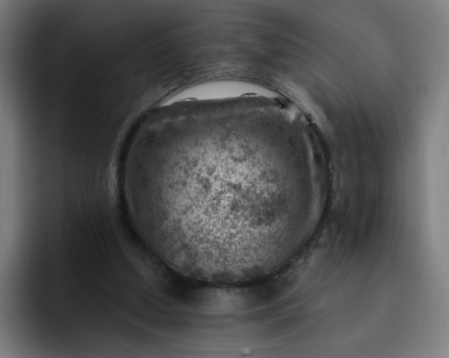 X0000093260250200710101504