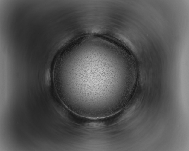 X0000093260251200710101504