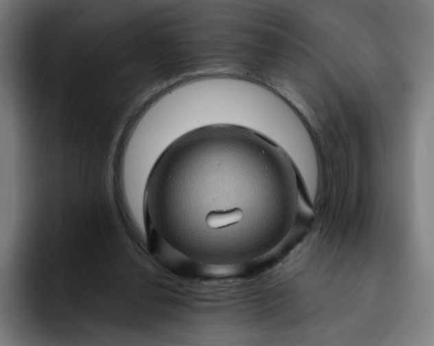 X0000093260252200710101504