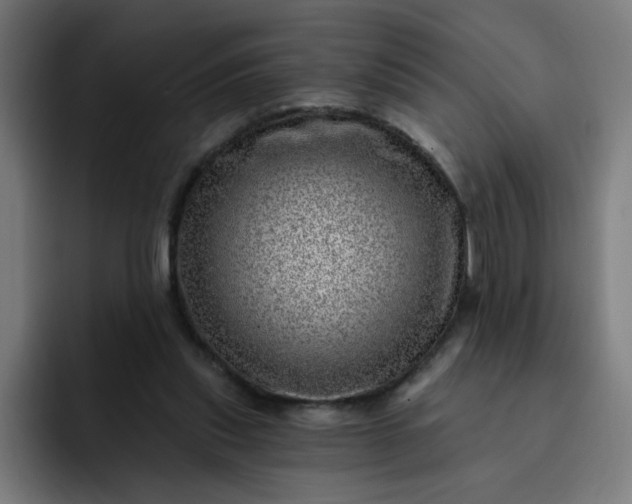 X0000093260253200710101504