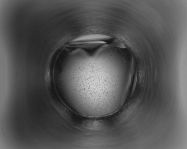 X0000093260254200710101504