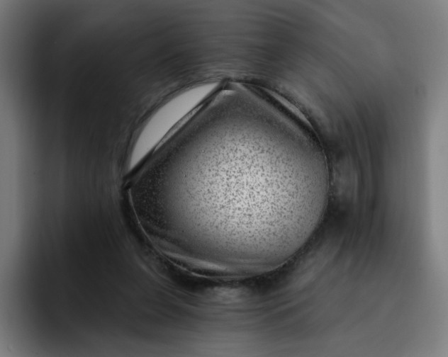 X0000093260255200710101504