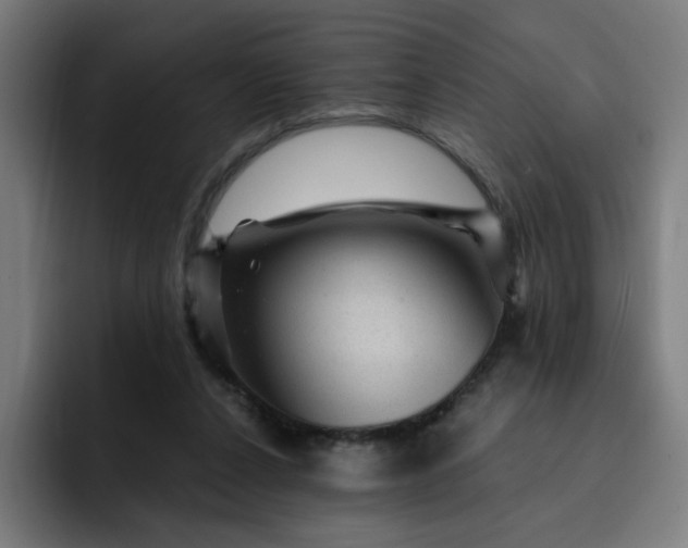 X0000093260256200710101504