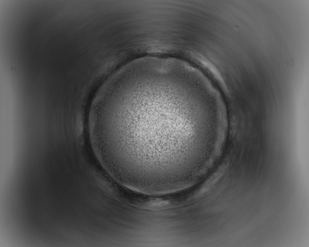 X0000093260257200710101504