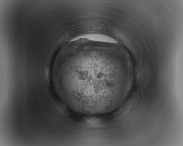 X0000093260258200710101504