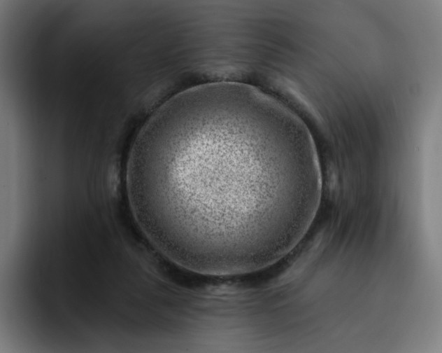 X0000093260259200710101504