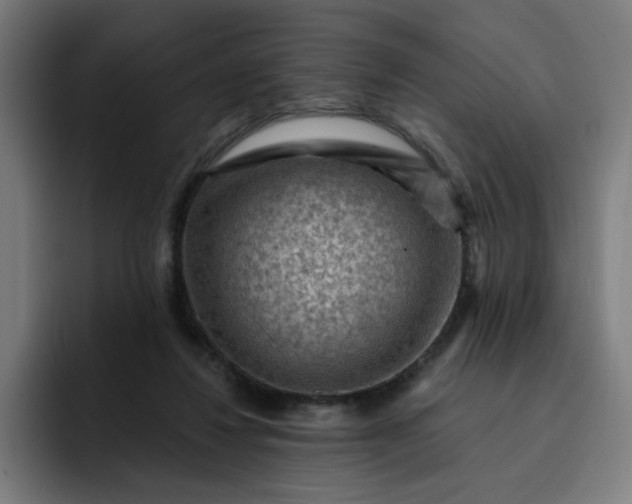 X0000093260260200710101504