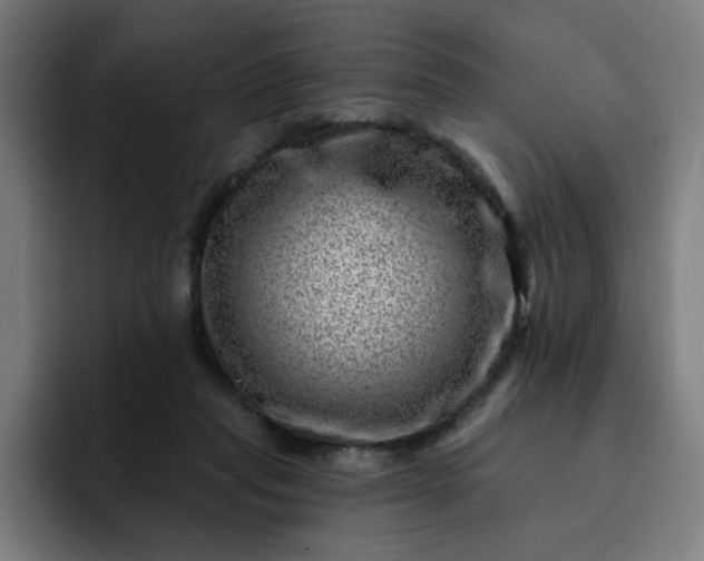 X0000093260261200710101504