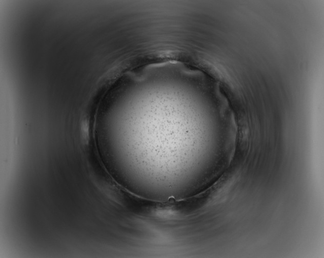 X0000093260262200710101504