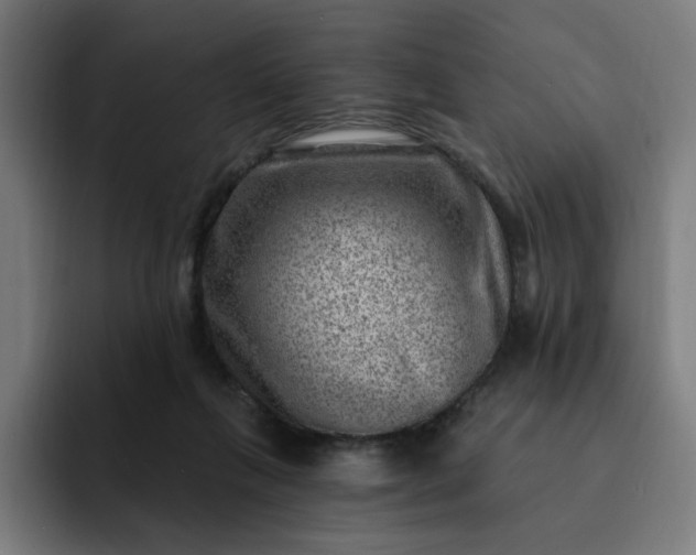 X0000093260263200710101504