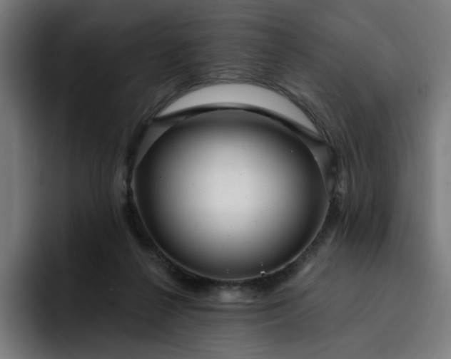 X0000093260264200710101504