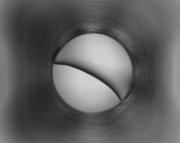 X0000093260265200710101504