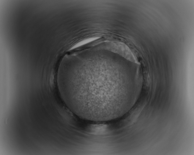 X0000093260266200710101504