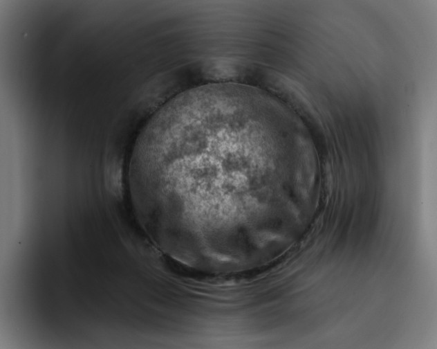 X0000093260267200710101504