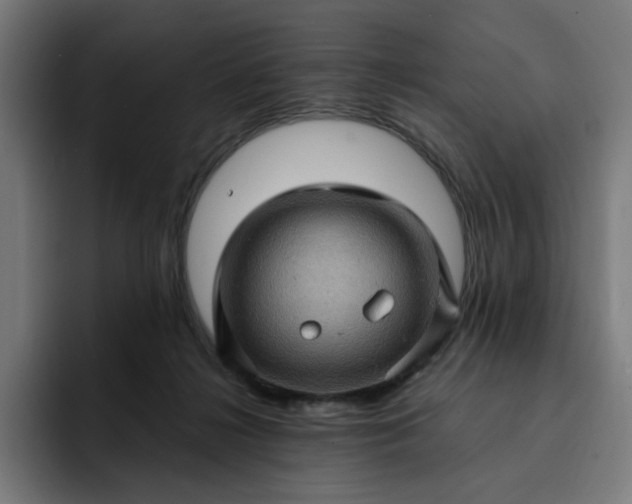 X0000093260268200710101504