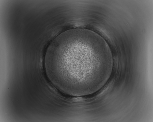 X0000093260269200710101504