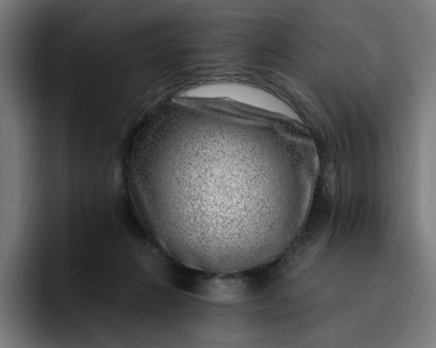 X0000093260270200710101504