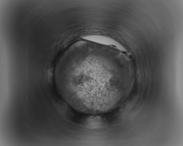 X0000093260271200710101504