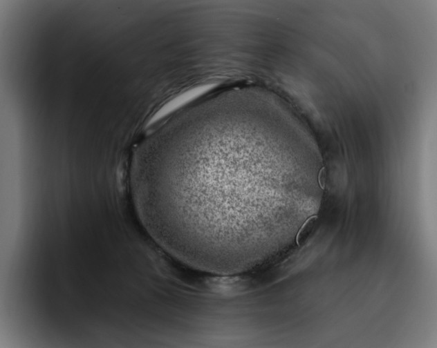 X0000093260273200710101504