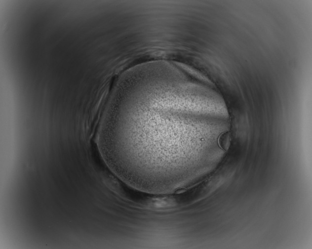 X0000093260275200710101504