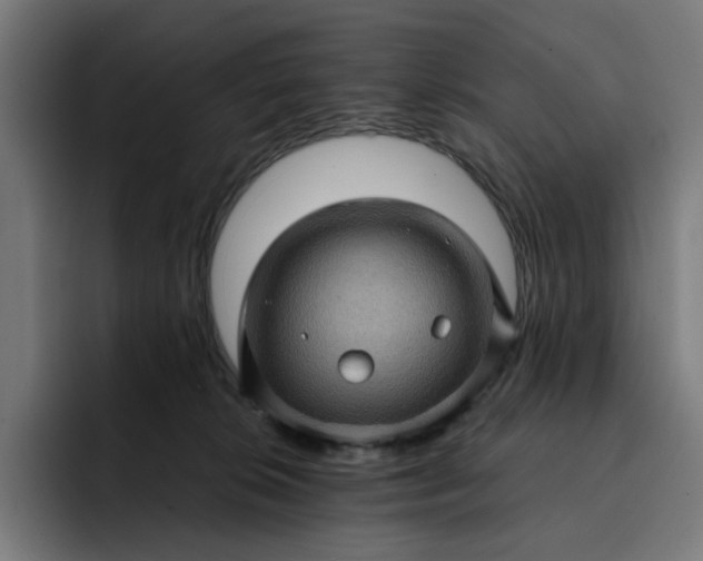 X0000093260276200710101504