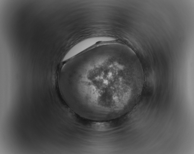 X0000093260277200710101504