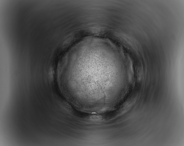 X0000093260279200710101504