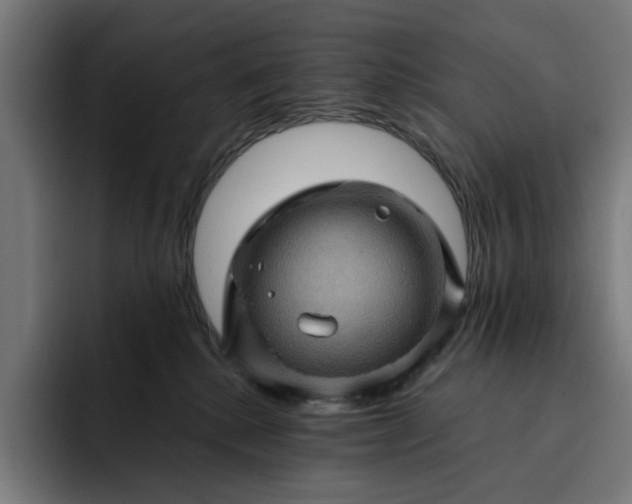 X0000093260280200710101504