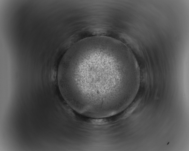 X0000093260281200710101504