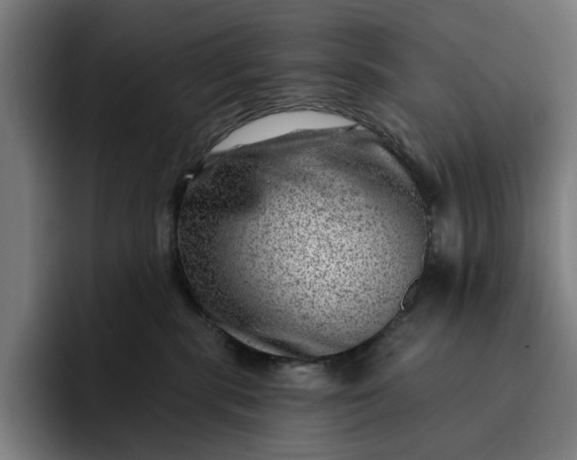 X0000093260283200710101504