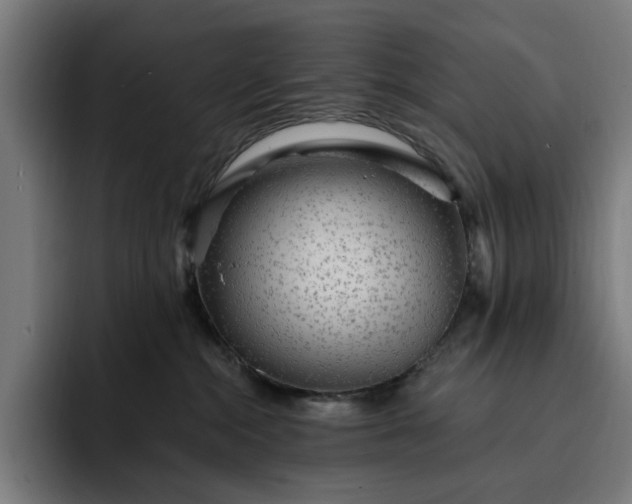 X0000093260284200710101504