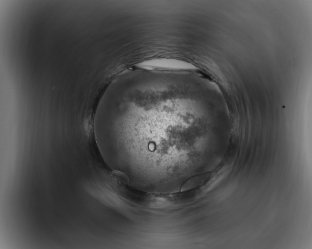 X0000093260285200710101504