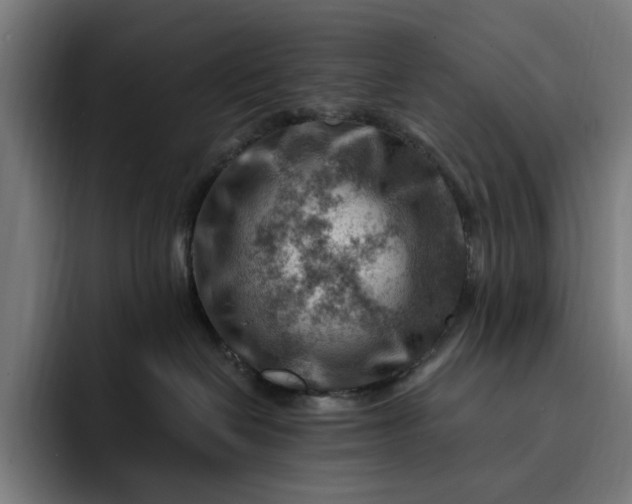 X0000093260286200710101504