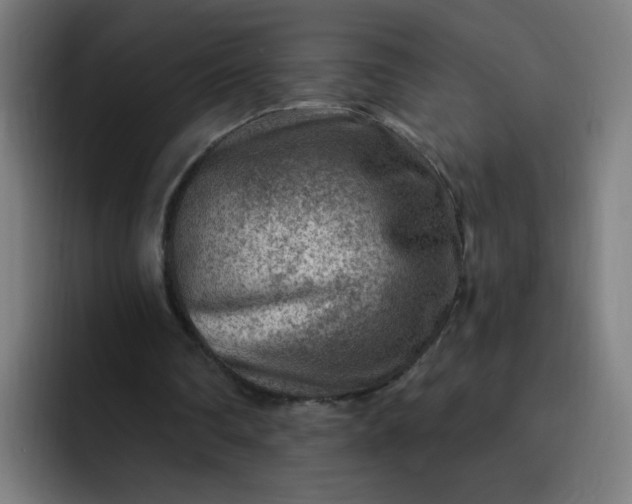 X0000093260290200710101504