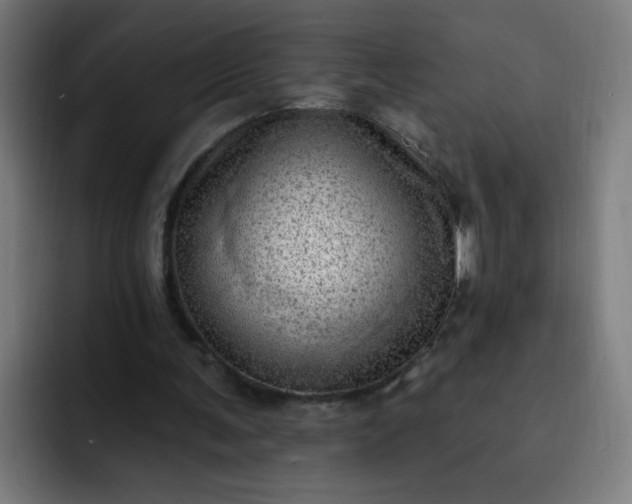 X0000093260291200710101504